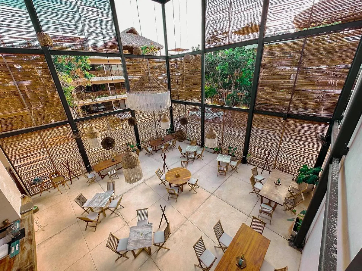 Penthouse Con Jacuzzi Privado, Cenotes, Piscinas, Gym Y Mas Apartment Tulum 0*,  Mexico