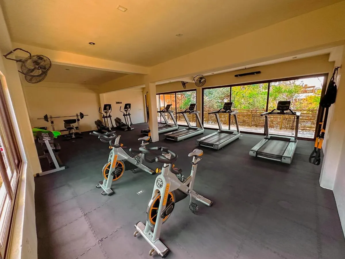 Penthouse Con Jacuzzi Privado, Cenotes, Piscinas, Gym Y Mas Apartment Tulum 0*,