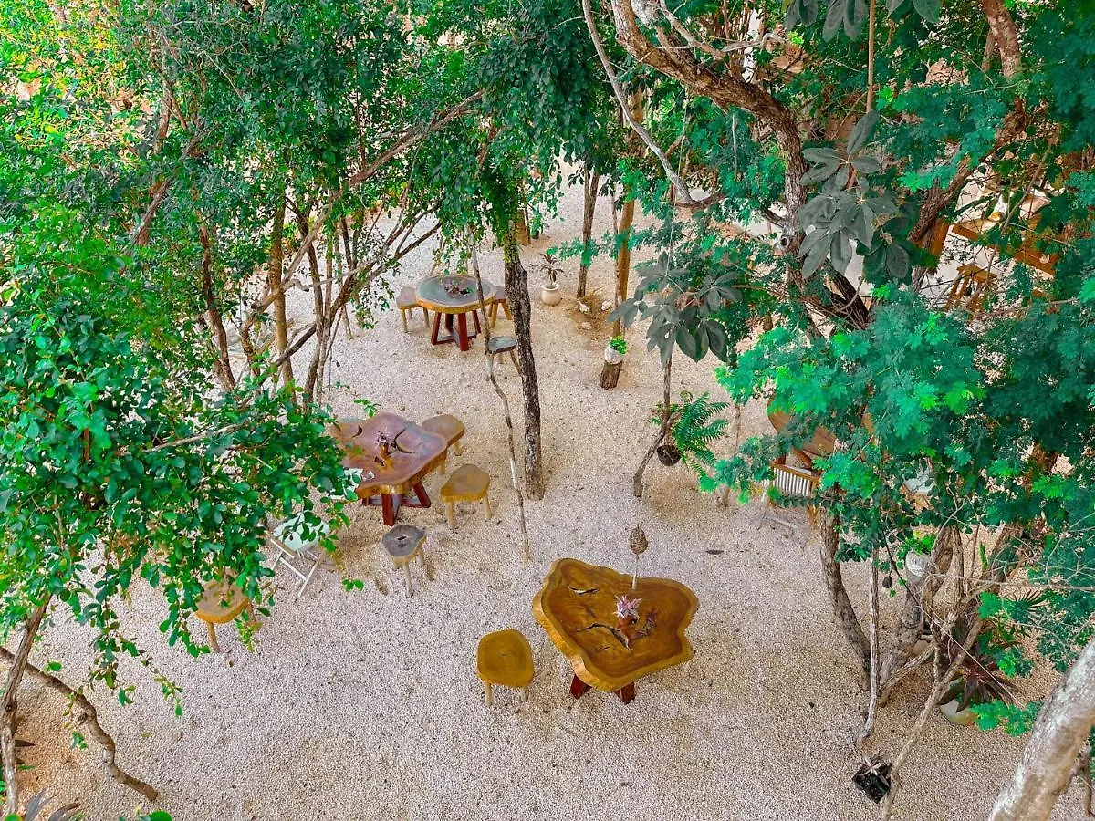 Penthouse Con Jacuzzi Privado, Cenotes, Piscinas, Gym Y Mas Apartment Tulum